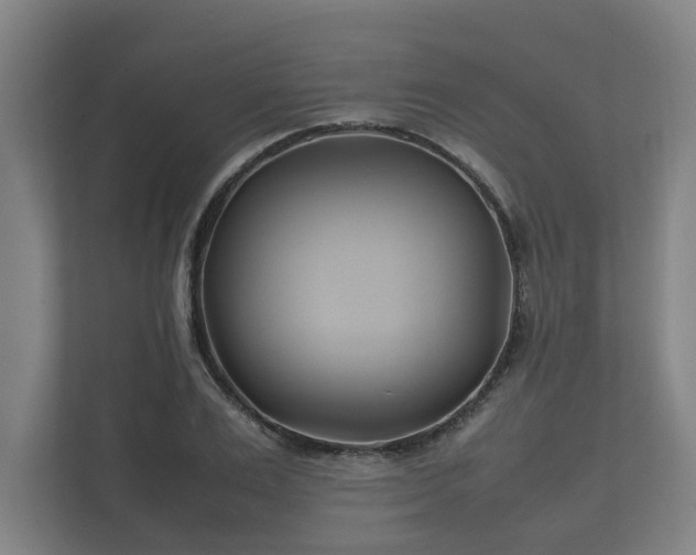 X0000112370983200908201459