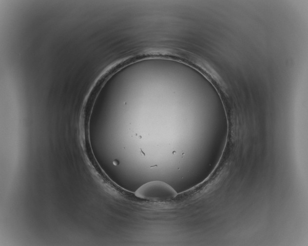 X0000112370984200908201459