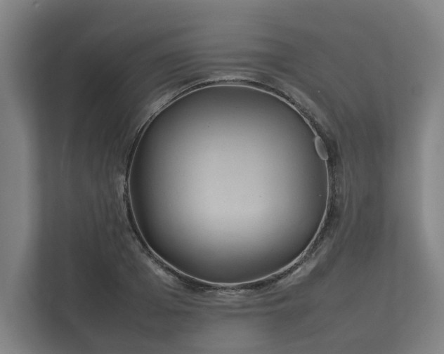 X0000112370985200908201459