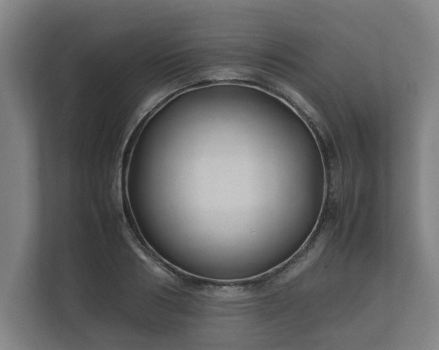 X0000112370986200908201459