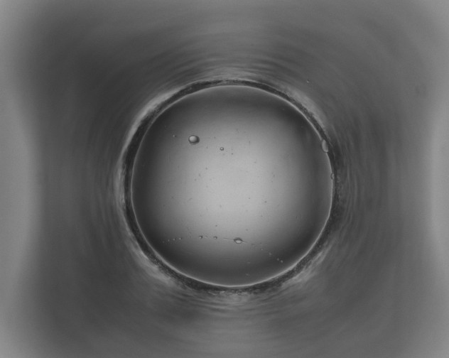 X0000112370987200908201459