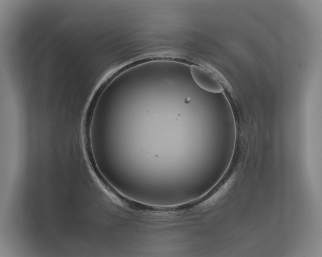 X0000112370989200908201459