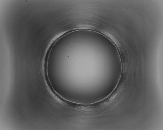 X0000112370995200908201458