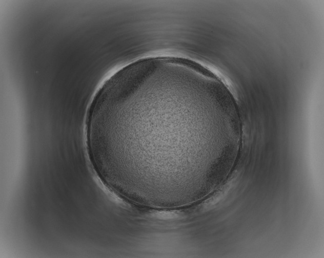 X0000112370998200908201458