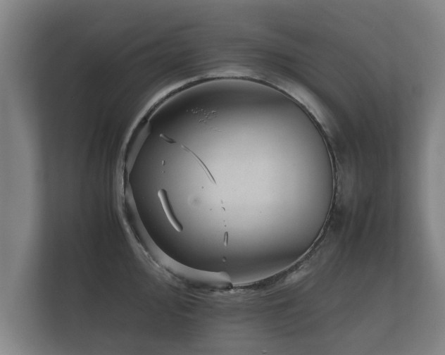 X0000112371000200908201458