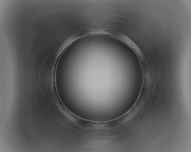 X0000112371002200908201458