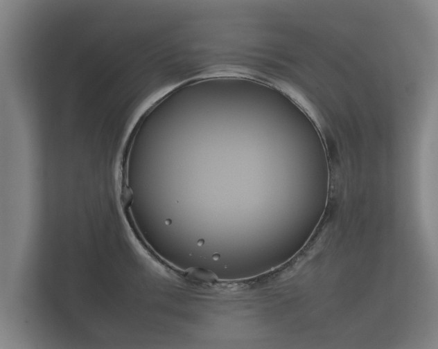 X0000112371003200908201458