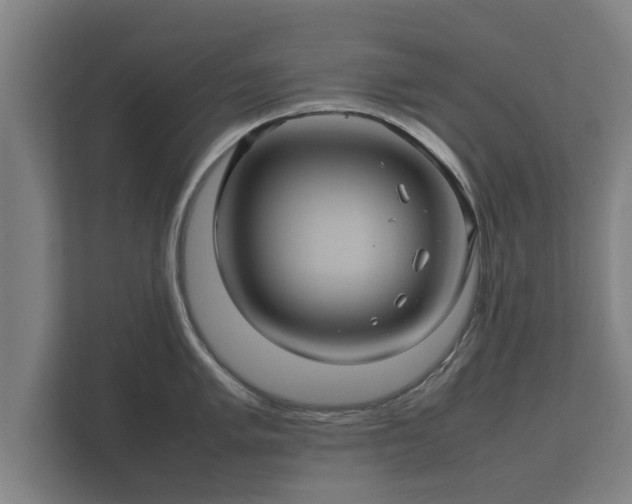 X0000112371005200908201458