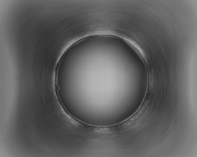 X0000112371006200908201458