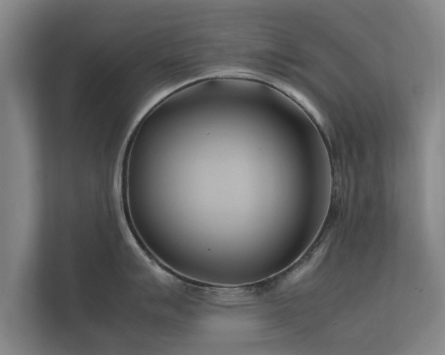 X0000112371007200908201458