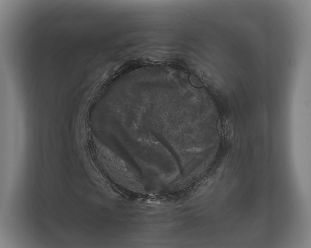 X0000112371009200908201458