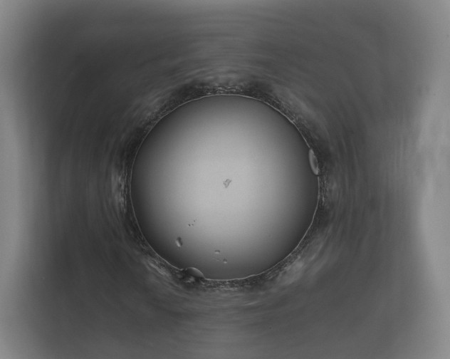 X0000112371010200908201458