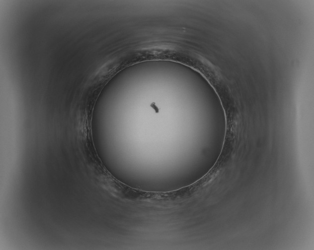 X0000112371014200908201458