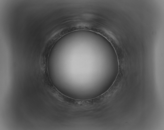 X0000112371015200908201458