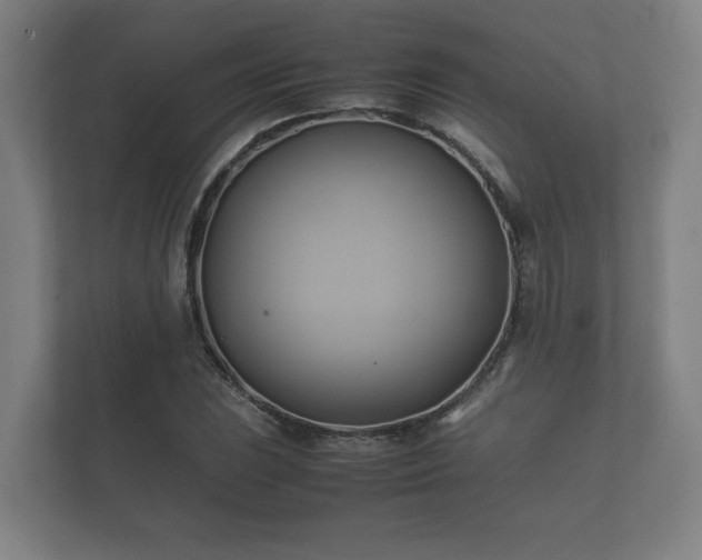 X0000112371023200908201458