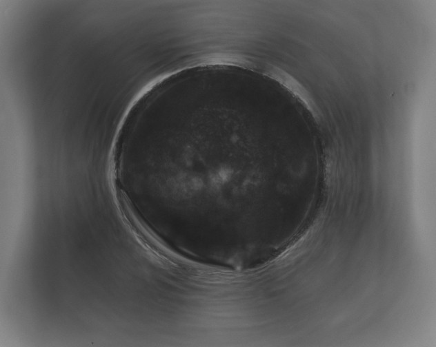 X0000112371024200908201458