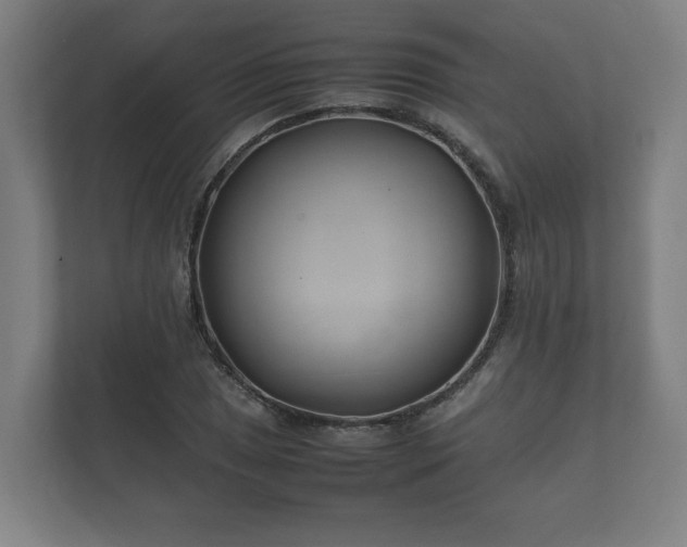 X0000112371025200908201458