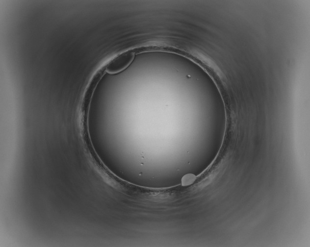 X0000112371029200908201458