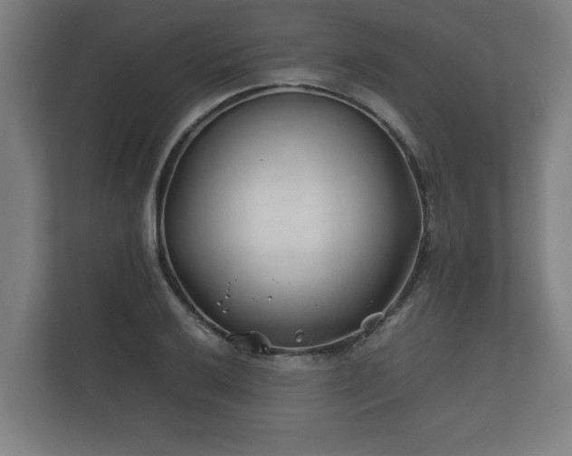 X0000112371032200908201458