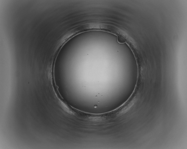 X0000112371033200908201458