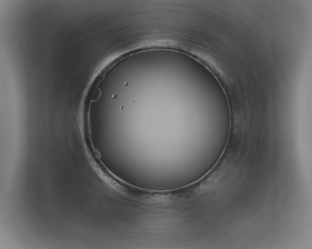 X0000112371038200908201458