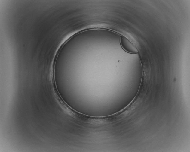 X0000112371044200908201458