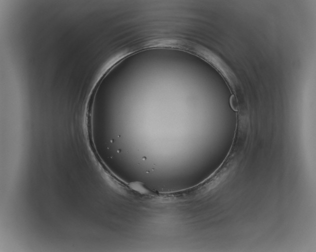 X0000112371050200908201458