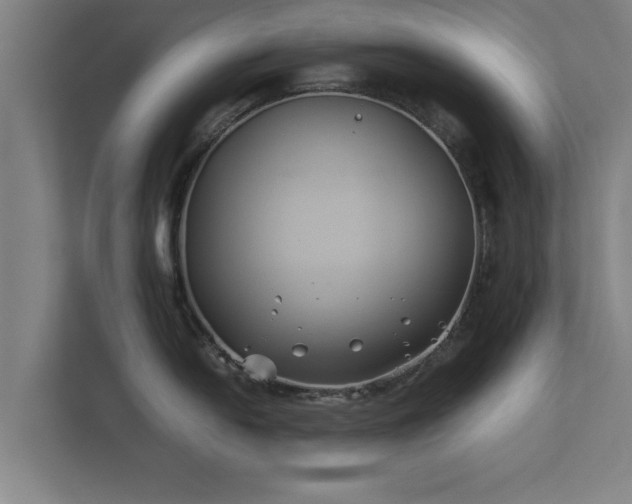 X0000112371054200908201458