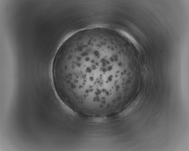 X0000112371055200908201458