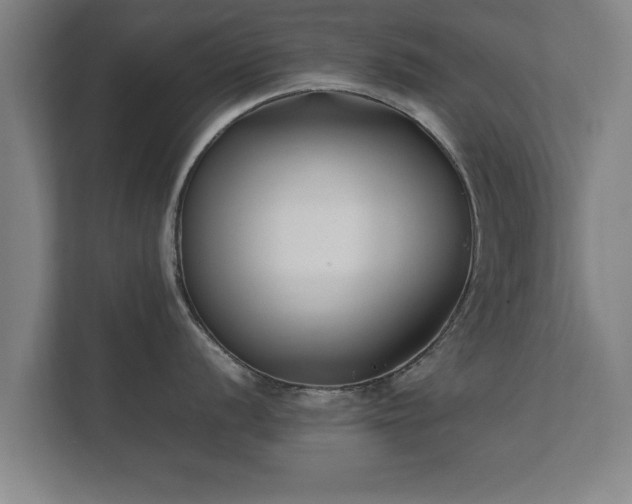 X0000112371056200908201458