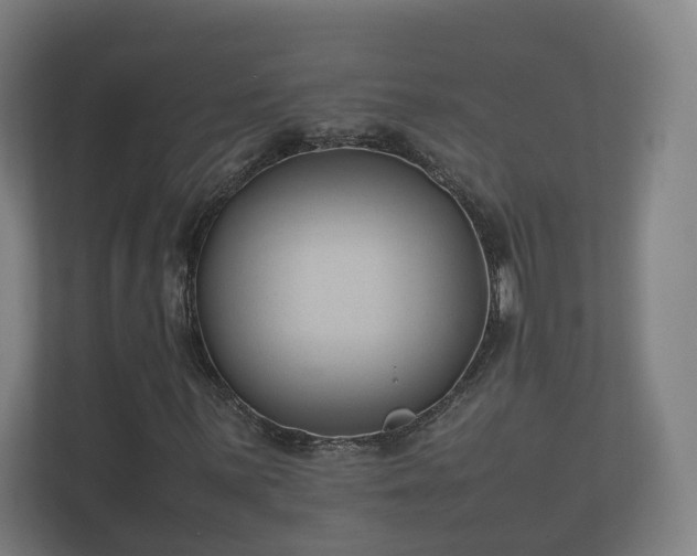 X0000112371059200908201458