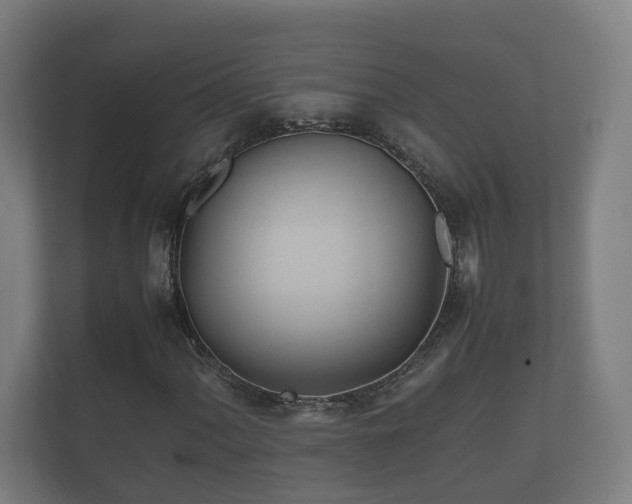 X0000112371060200908201458