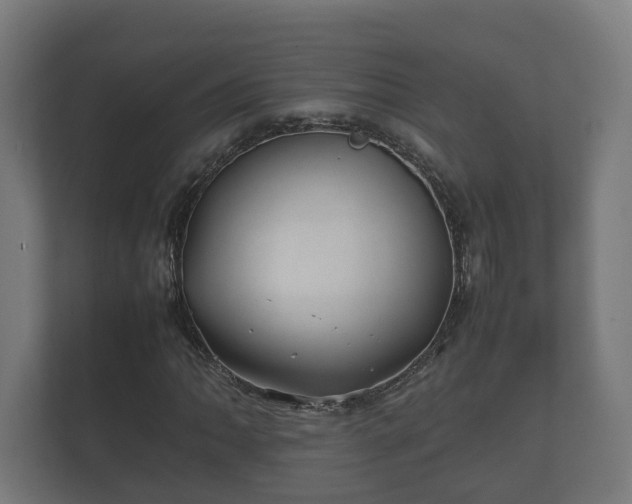 X0000112371062200908201458