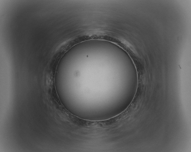 X0000112371063200908201458