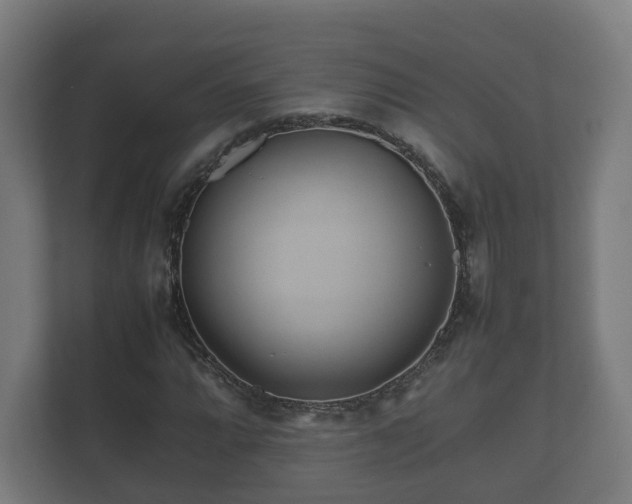 X0000112371064200908201458