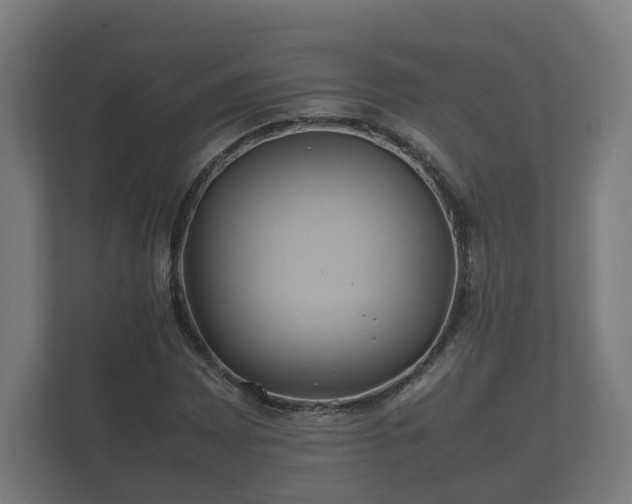 X0000112371065200908201458