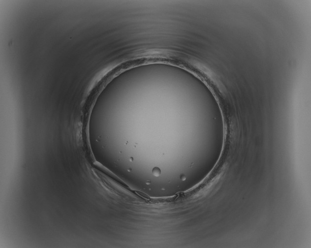 X0000112371066200908201458