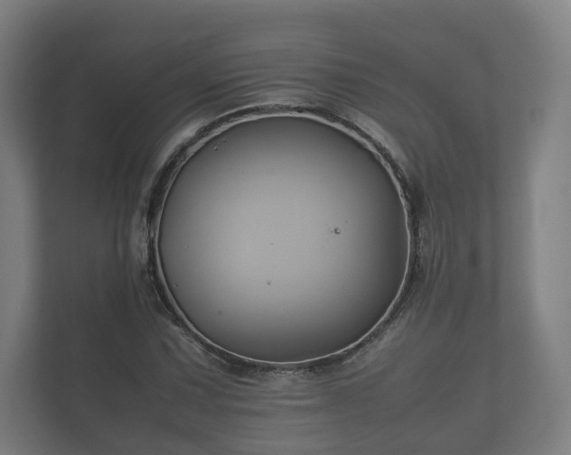 X0000112371067200908201457