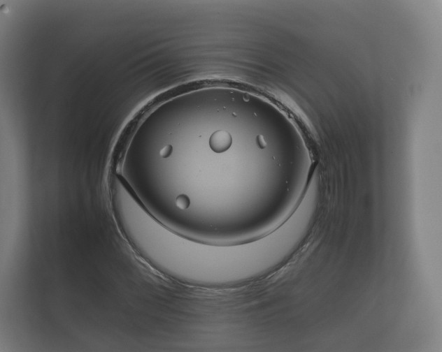 X0000112371068200908201457