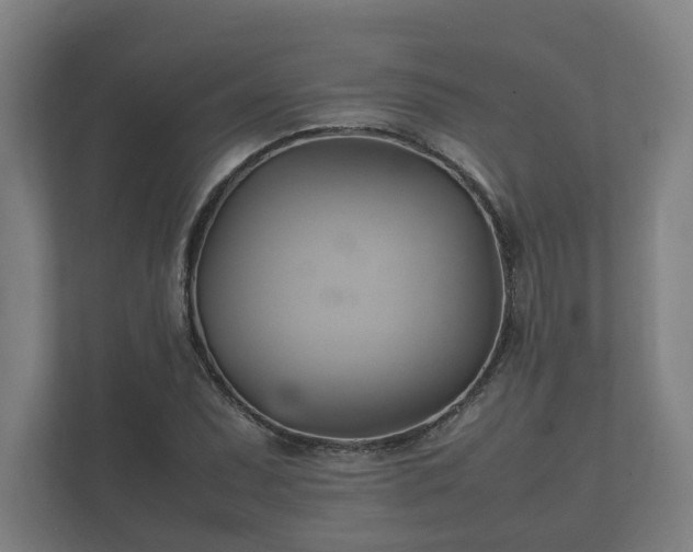 X0000112371071200908201457