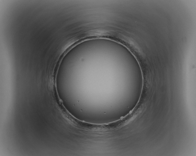 X0000112371073200908201457