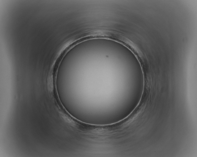 X0000112371075200908201457