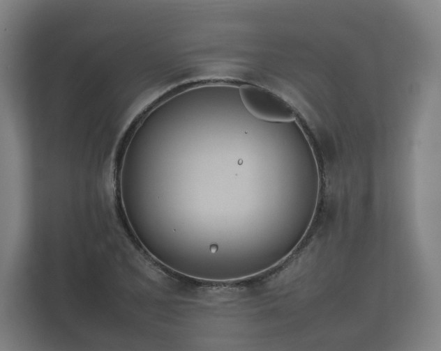 X0000112371077200908201457