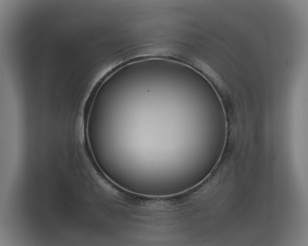 X0000112371079200908201457