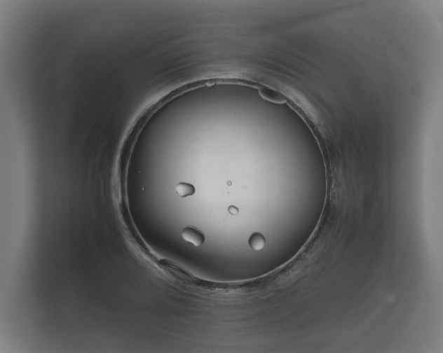 X0000112371080200908201457