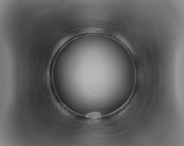 X0000112371082200908201457