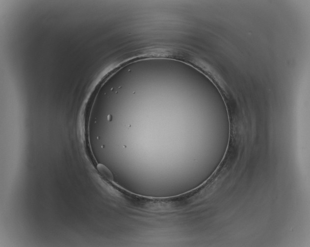 X0000112371083200908201457