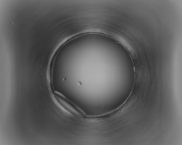 X0000112371084200908201457