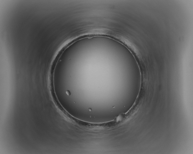 X0000112371085200908201457