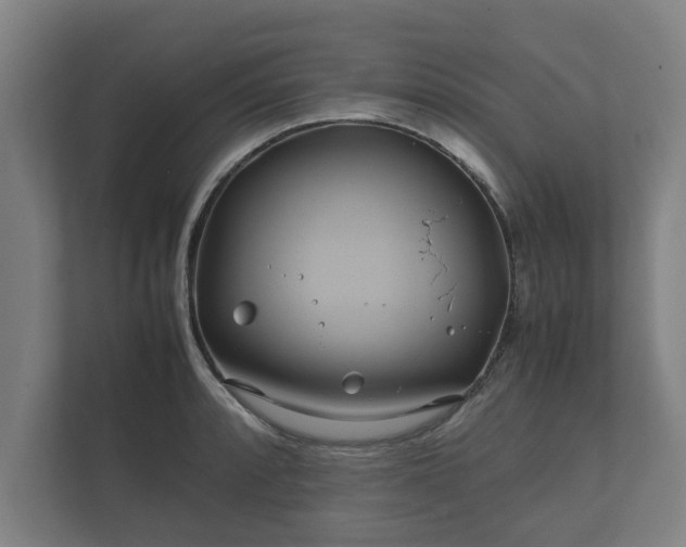 X0000112371088200908201457